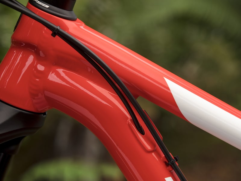 Trek procaliber 6 2019 mountain bike 2025