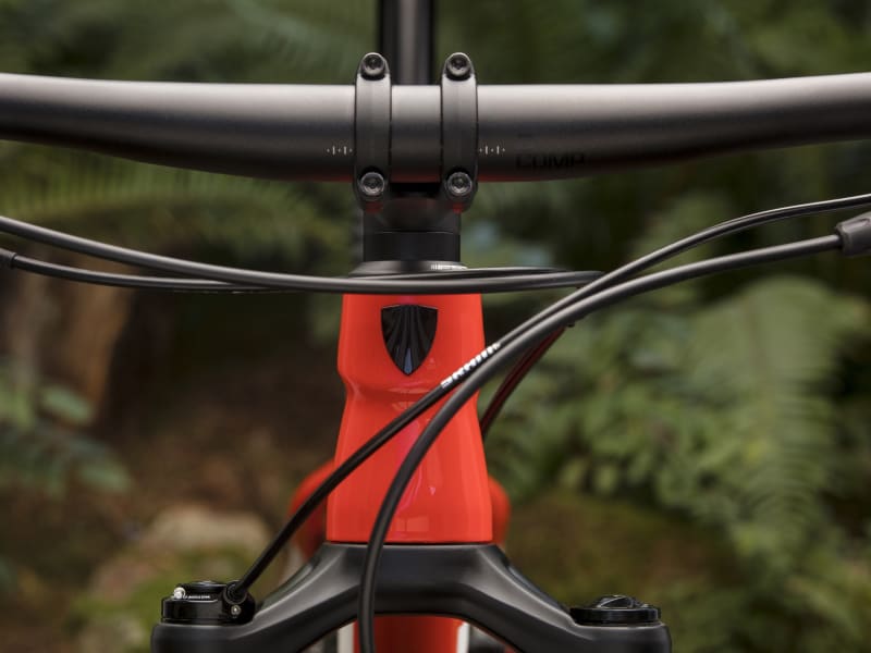 Procaliber 6 review sales