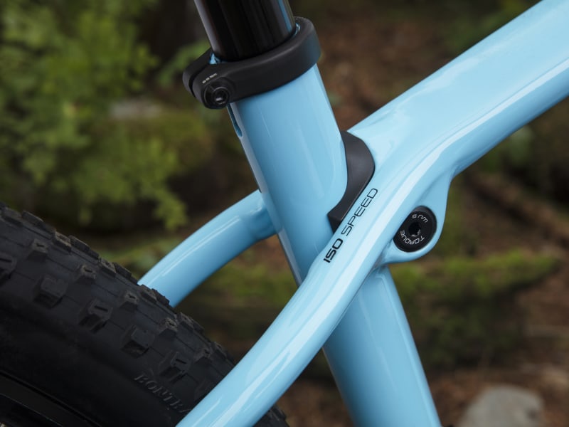 Trek on sale procaliber 2019