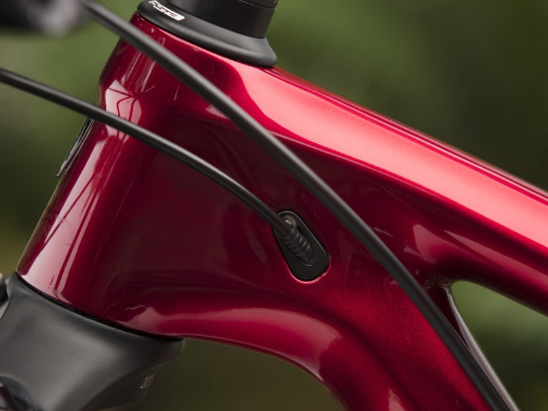 Procaliber 9.7 2019 on sale