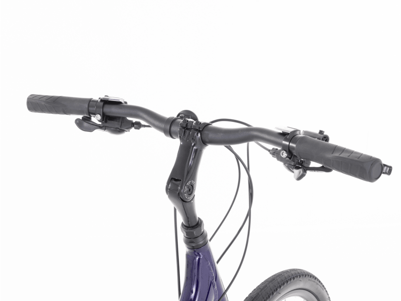 Trek verve 3 hotsell disc lowstep stores