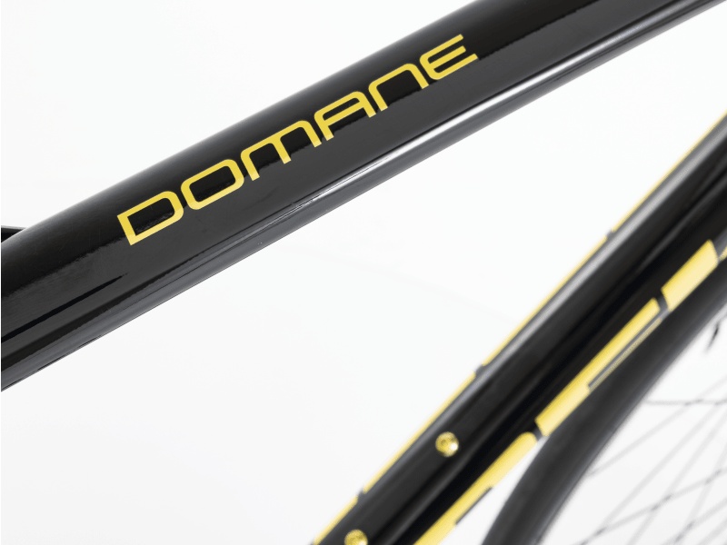 Domane AL 2 Rim - 2024, 54cm - Trek Bikes