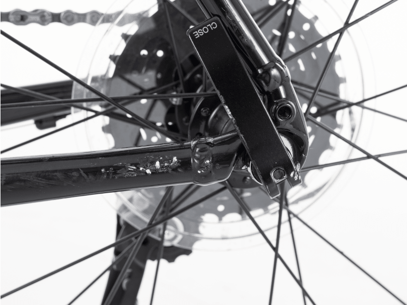 Domane AL 2 Rim - 2024, 56cm - Trek Bikes