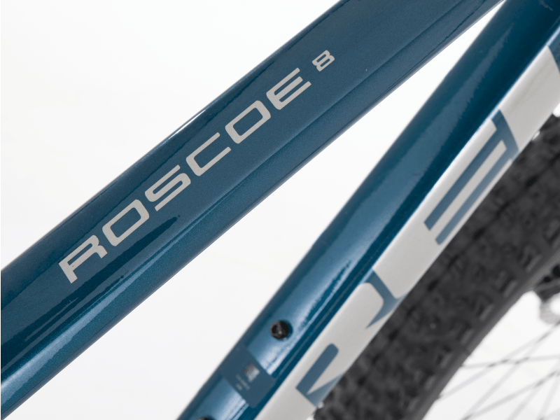 Roscoe 8 2021 Medium Trek Bikes