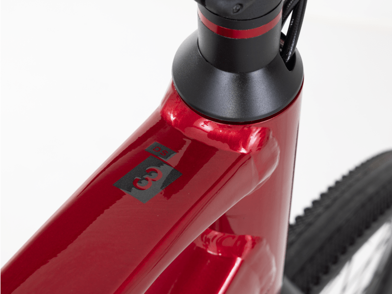Trek dual cheap sport 3 large