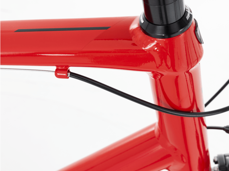 Domane AL 3 - 2019, 60cm - Trek Bikes