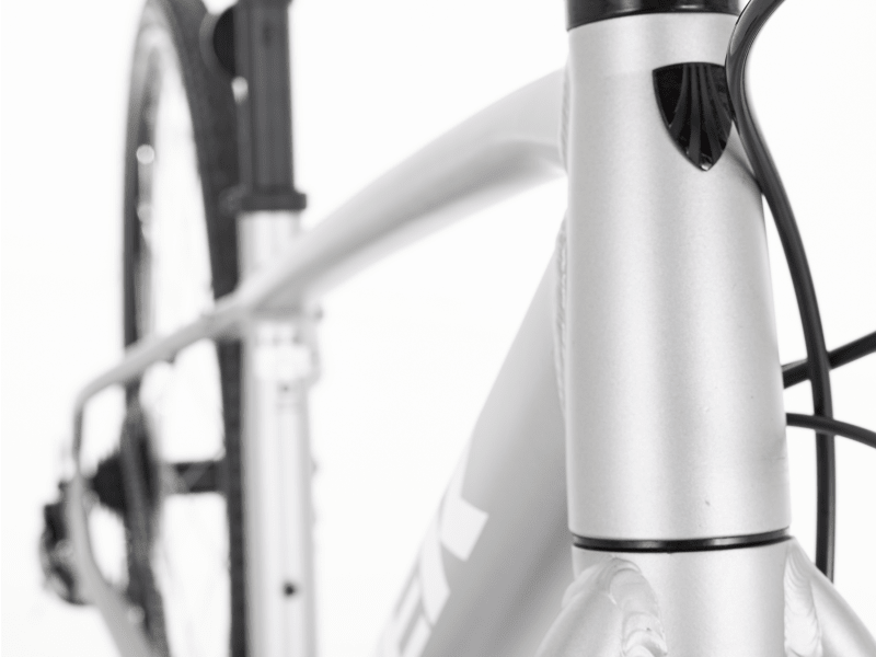 FX 2 Disc Women s 2021 Small Trek Bikes