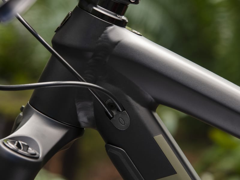2019 trek sale remedy 8