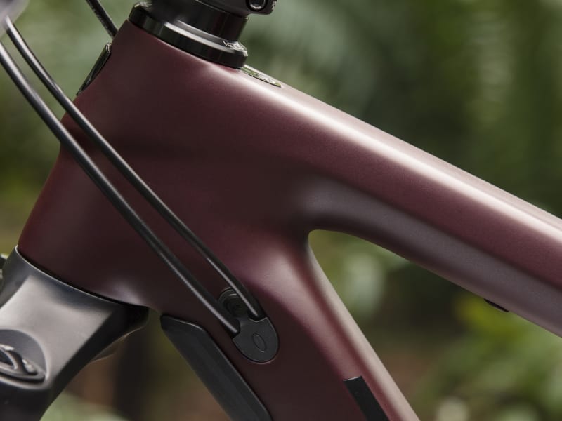 Trek remedy clearance 9.7 2019