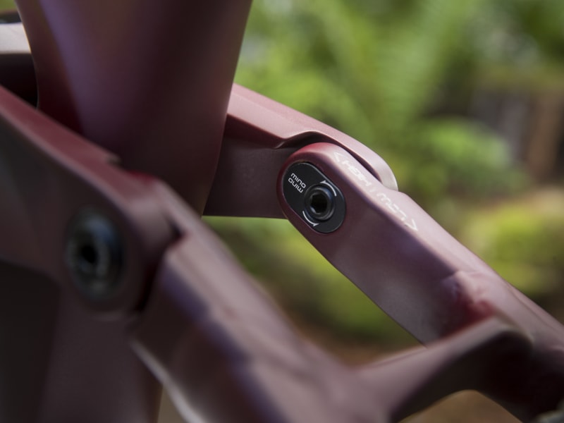 Trek remedy clearance 9.7 2019