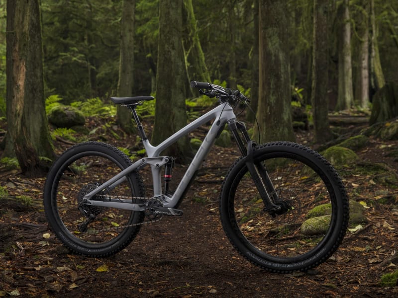 2019 trek deals remedy 8