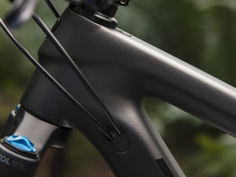 2020 trek new arrivals remedy 9.9