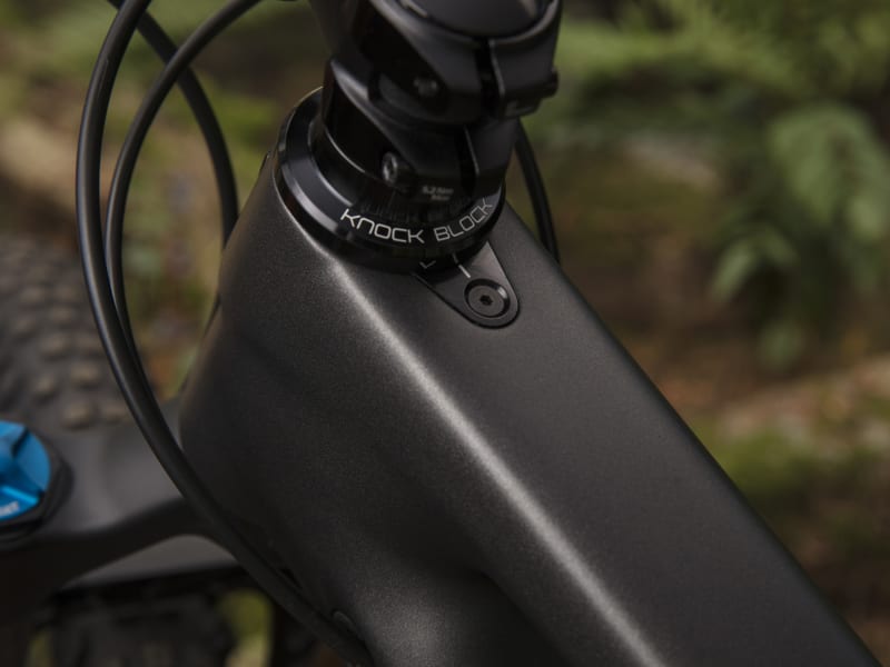 Remedy 9.9 Trek Bikes CH