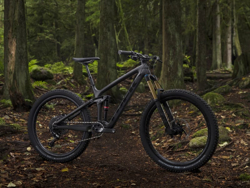 Trek remedy 9.9 frame store