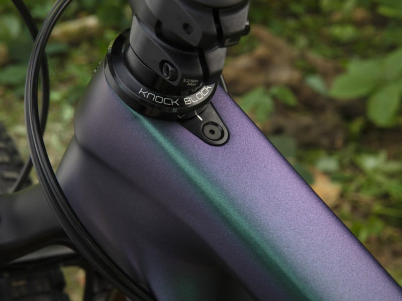 Remedy 9.9 Trek Bikes