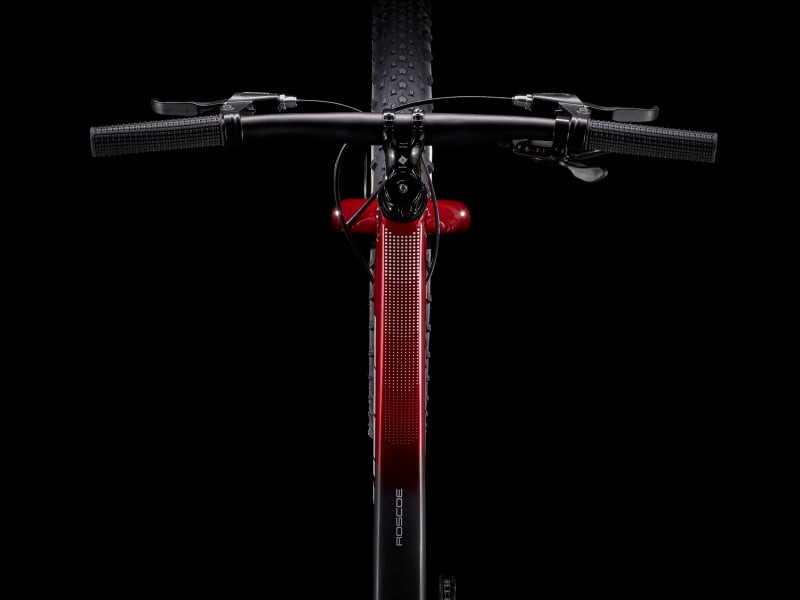Trek roscoe 20 best sale inch