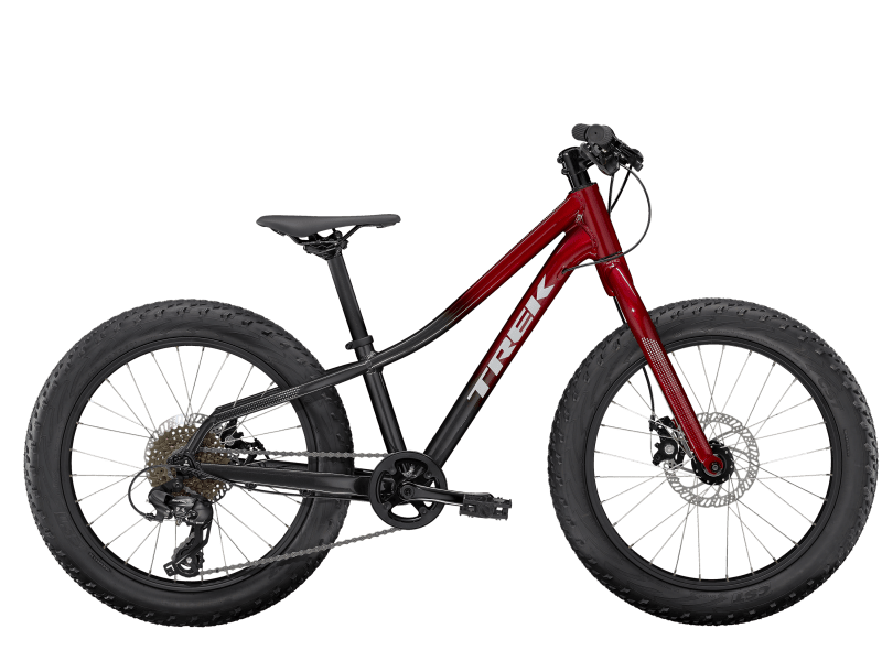 Trek kids best sale bike 20