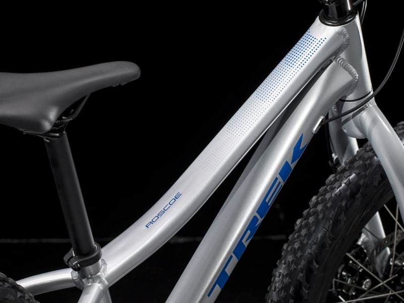 Trek roscoe 20 2019 outlet