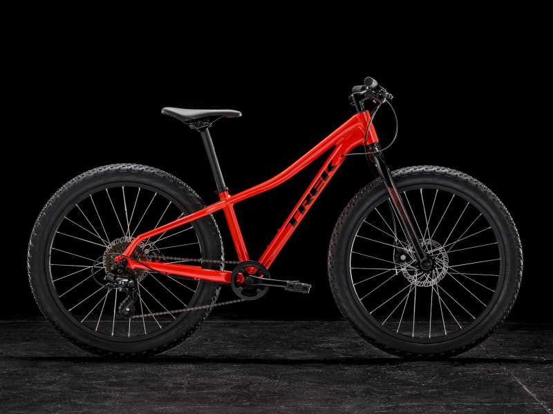 Trek roscoe kids online
