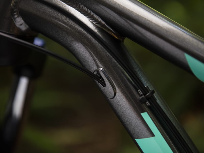 Trek roscoe 6 wsd online