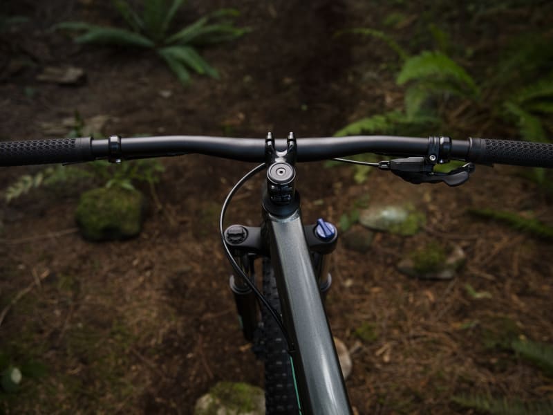 Trek roscoe 6 women's 2019 sale