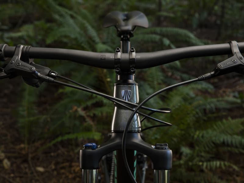 Trek roscoe 6 women shop