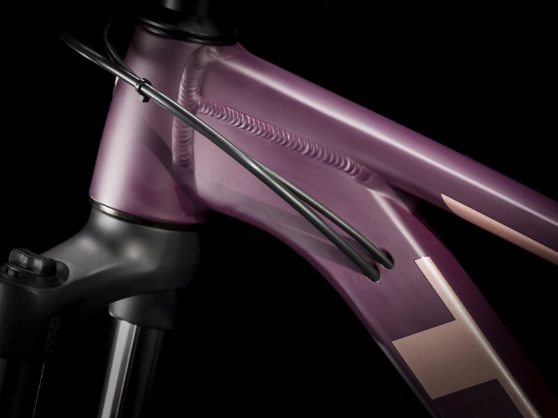 Trek roscoe 6 women shop