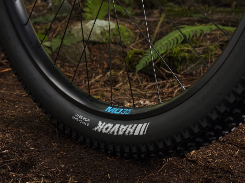 Trek roscoe 6 2019 sale red