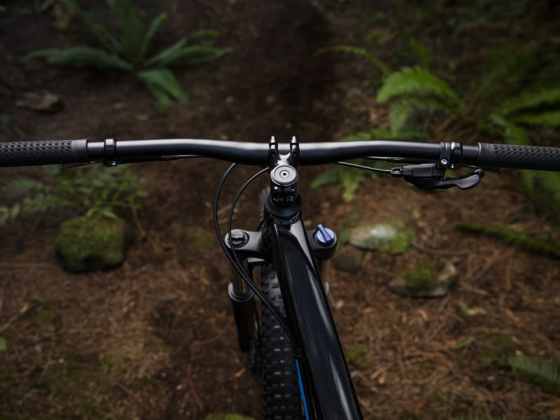 Roscoe 6 trek bike top