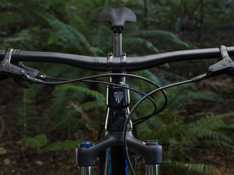 Trek 2019 hot sale roscoe 6