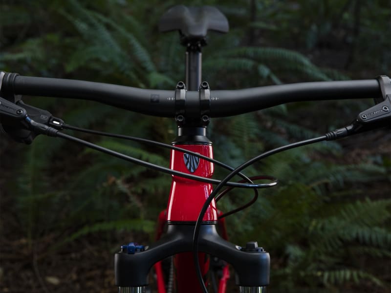 Trek roscoe 6 2019 mountain bike online