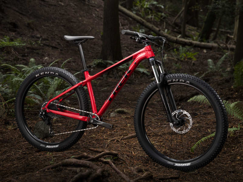 Trek roscoe 2019 online
