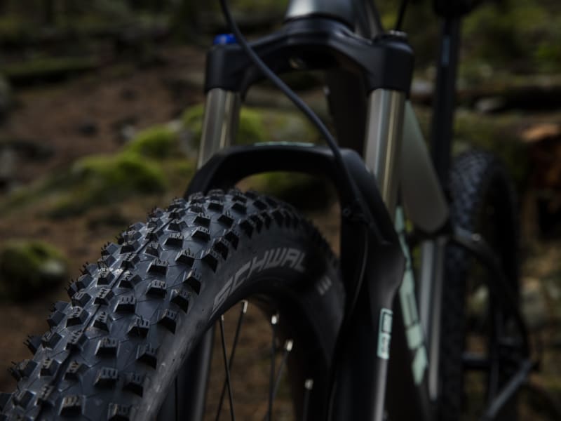 Roscoe 7 Women s Trek Bikes