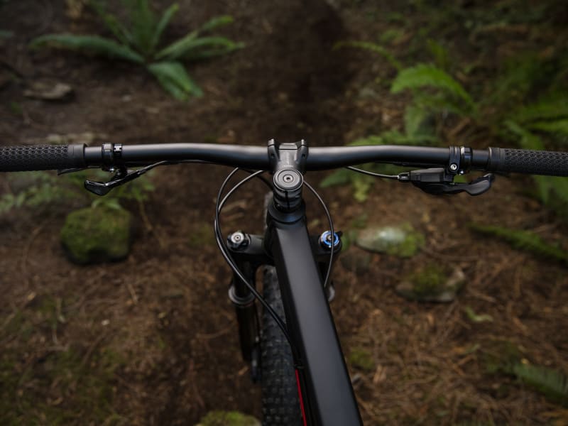 Trek roscoe 7 women's 2019 sale
