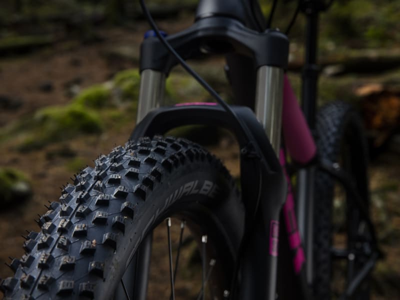 Trek roscoe wsd sales