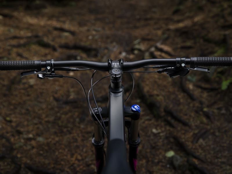 Roscoe 8 Women s Trek Bikes