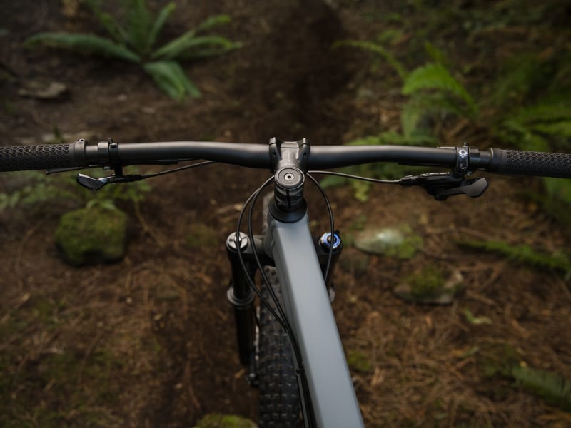 Trek roscoe 8 2019 cena deals