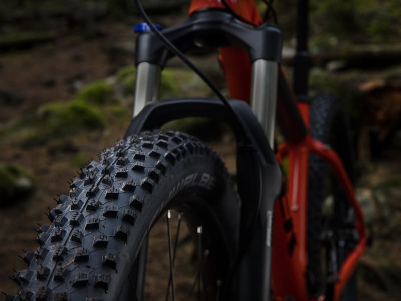 Trek roscoe 8 29er wheels discount
