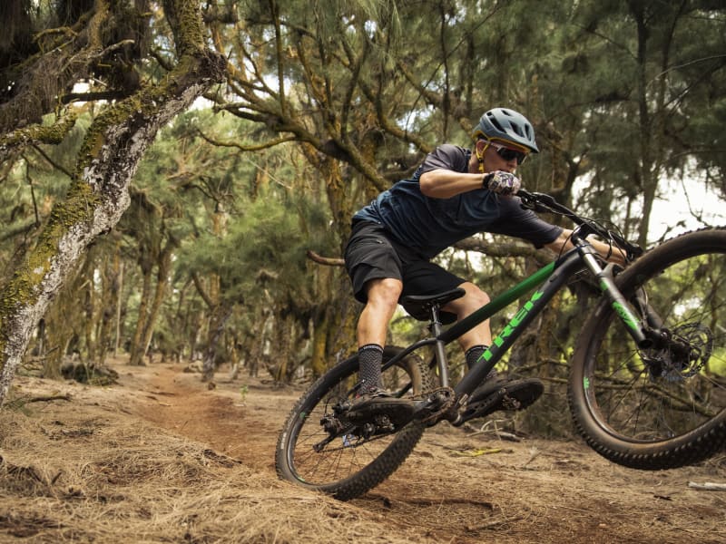 Trek roscoe 9 2018 discount