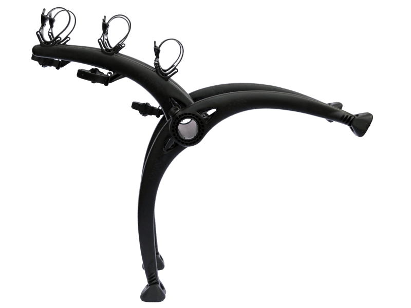 Saris bone 3 2025