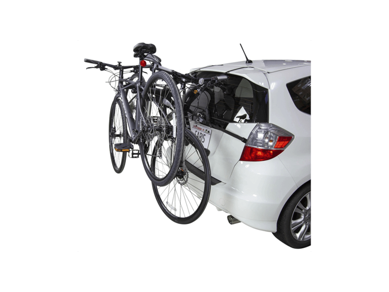 Saris bones 2025 ex 2