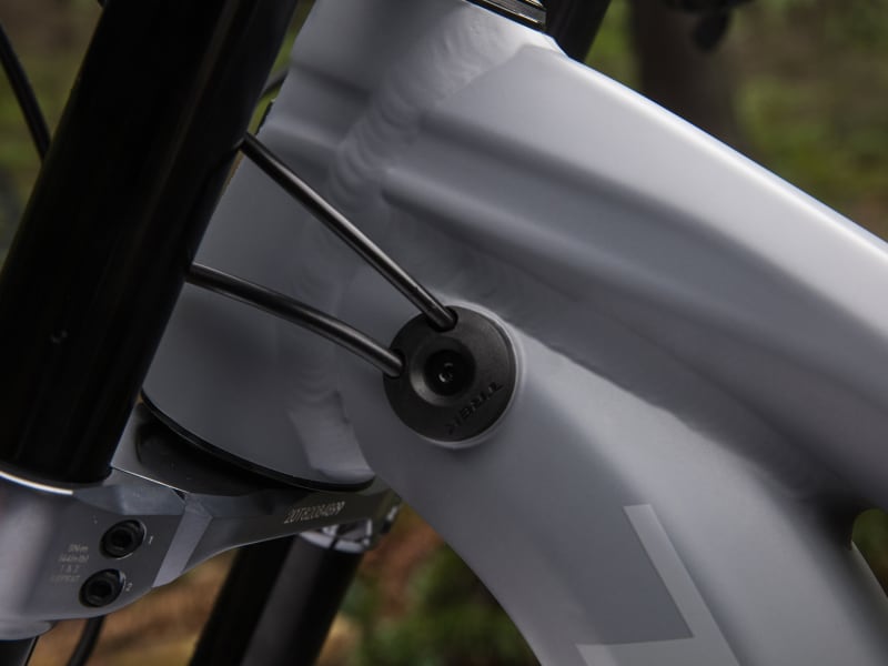 2019 trek session 8 store
