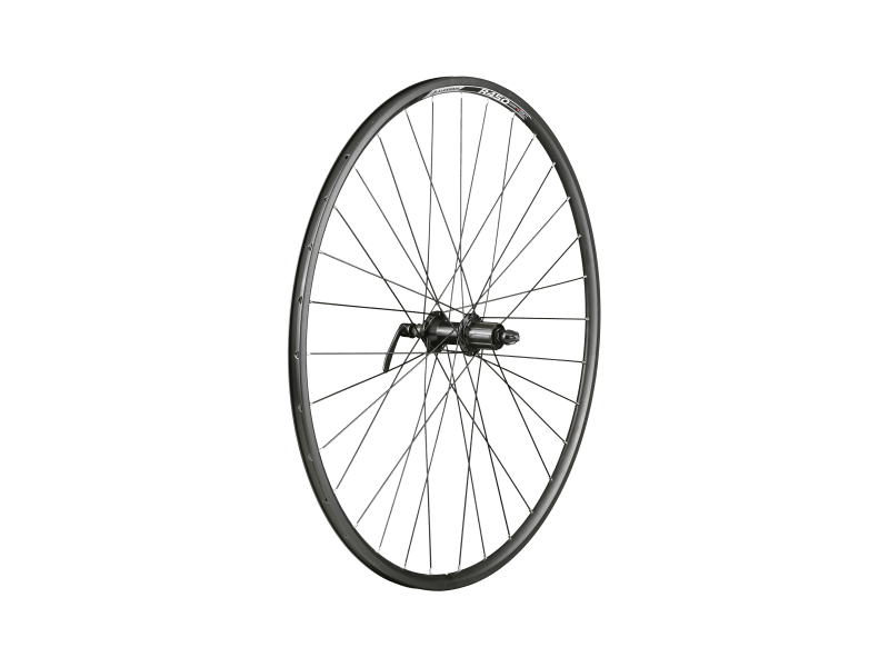 Double wall rim mountain bike deals