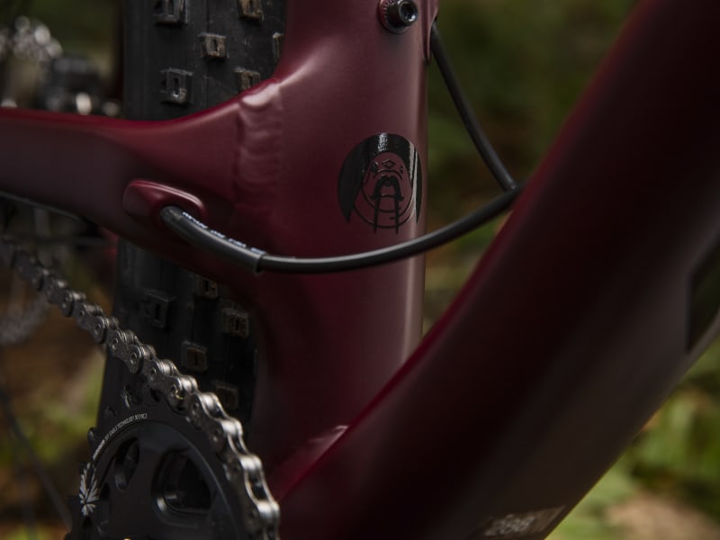 2019 trek stache 7 discount
