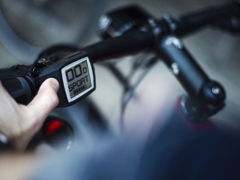 Trek super sale commuter 8s 2019