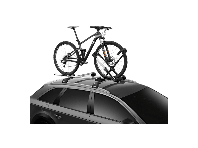 Fat bike roof deals rack