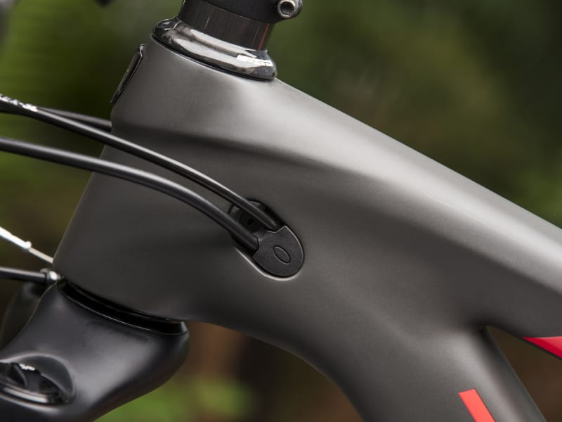 Trek top fuel 9.9 sl 2019 deals