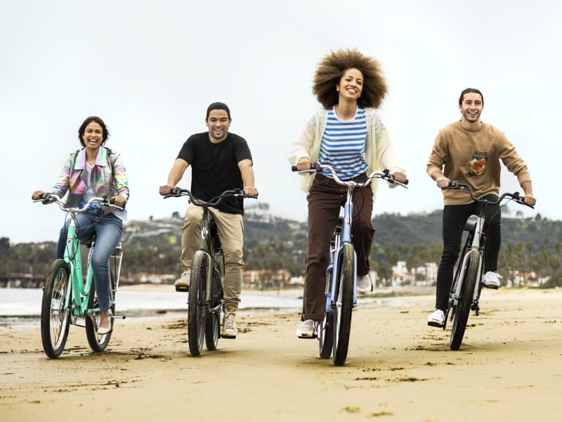 Townie Go 7D Step Thru Electra Bikes