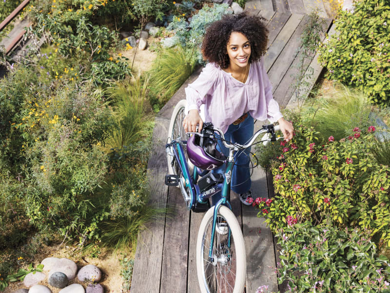 Townie Go 8D Step Thru Electra Bikes