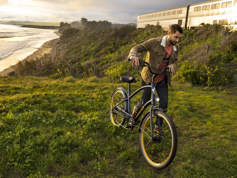 Townie 7D EQ Step Over Electra Bikes GB